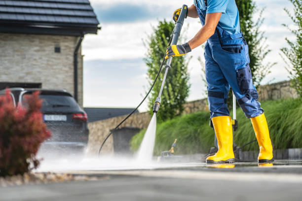 Best Driveway Cleaning and Restoration in Bayou Vista, LA